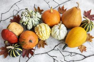 Autumn composition,  cozy fall season,  pumpkins and leaves photo