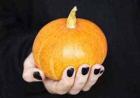 Female hands holding funny pumpkins on black background photo