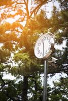 Clock with solar cells and motion camera photo