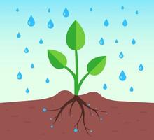 A plant with a root system pours rain. flat vector illustration.