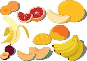 Sweet ripe fruits collection vector illustration