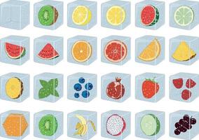 Ice cubes for drinks with fruits and berries inside vector