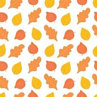 Autumn Leaves seamless pattern. vector background with plant.