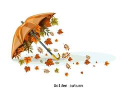 An umbrella with autumn leaves pouring out from under it vector