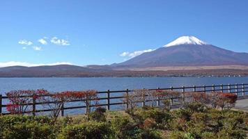 bela natureza em kawaguchiko com montanha fuji no japão video