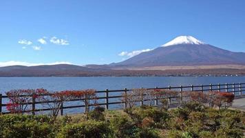 schöne natur in kawaguchiko mit berg fuji in japan video