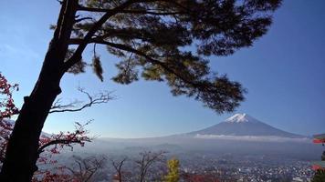 hermosa naturaleza en kawaguchiko con montaña fuji en japón video