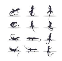 Lizard silhouette vector illustration design