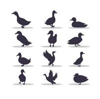 Duck silhouette vector illustration design