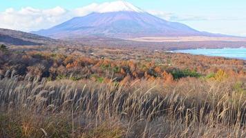 schöne natur in kawaguchiko mit berg fuji in japan video