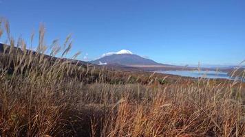 hermosa naturaleza en kawaguchiko con montaña fuji en japón video