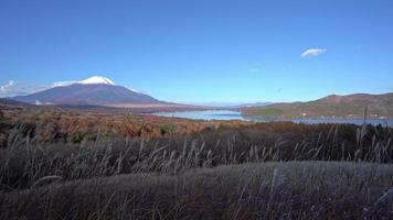 vacker natur i kawaguchiko med berg fuji i japan video
