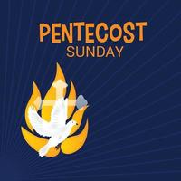 Pentecost Sunday Holy spirit dove. vector