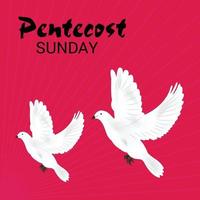 Pentecost Sunday Holy spirit dove. vector