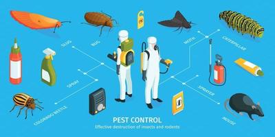 infografía isométrica de control de plagas vector