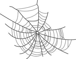 Vector image of a spider web. Spider web without a spider.