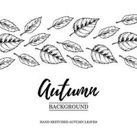 Hand drawn autumn design with falling leaves vector