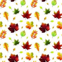 Autumn leaves seamless pattern isolated on white. Vector illustration