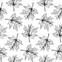 Botanical seamless pattern with maple leaves vector