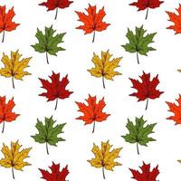 Autumn maple leaves seamless pattern vector