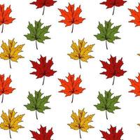 Autumn maple leaves seamless pattern vector