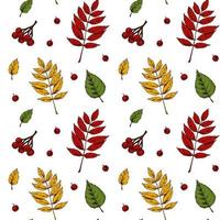 Autumn seamless pattern with leaves and berries vector