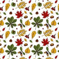 Autumn seamless pattern with leaves, acorns, nuts, berries vector