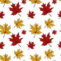 Autumn maple leaves seamless pattern e line art vector