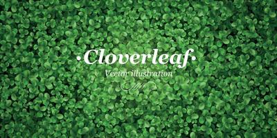 Green Clover Realistic Background
