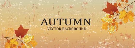 Autumn background design with watercolor brush texture, vector