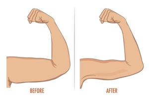 Female biceps before and after sport. Arms showing progress afte vector