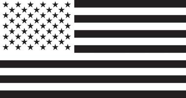 United States of America Flag vector