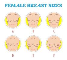 Conjunto de iconos redondos de colores de diferentes tamaños de senos femeninos, cuerpo vector