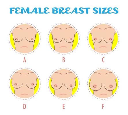 Group of Woman Breast Size, Silhouette Shape, Vector Illustrations