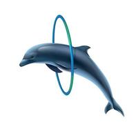 Jumping Dolphin Realistic Image vector