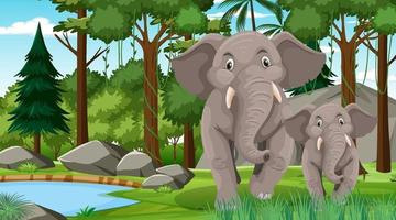 Mamá elefante y bebé en el bosque o la escena de la selva tropical con muchos árboles vector