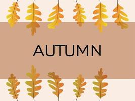 Autumn leaf dry background vector