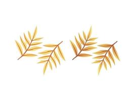 Dry leaf, autumn leaf vector
