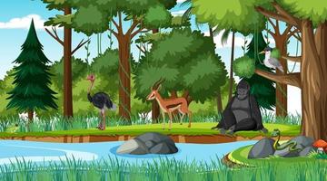 escena del bosque con diferentes animales salvajes. vector