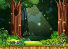 Enchanted forest landscape background vector