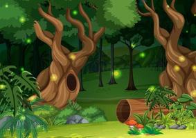 Enchanted forest landscape background vector