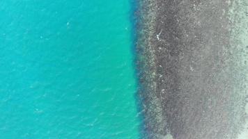 bella vista dall'alto della natura con mare oceano video