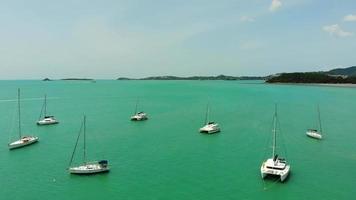 Beautiful high view of nature with sea ocean video