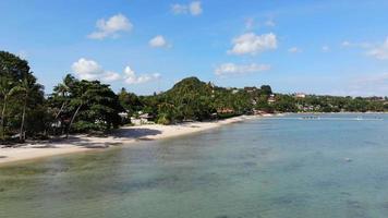 Beautiful high view of nature with sea ocean video