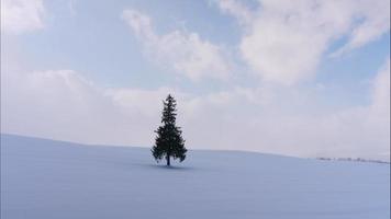 árvore de natal com neve no inverno video