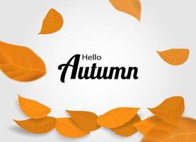 Hello Autumn background. vector