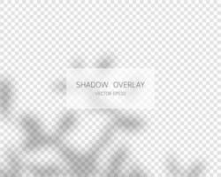 Shadow overlay effect. Natural shadows on transparent background. vector