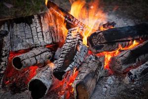 Burning fire of logs photo