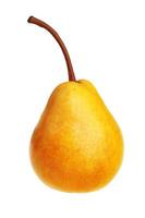 Ripe yellow pear photo