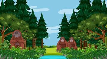 Orangutan in forest or rainforest scene with many trees vector